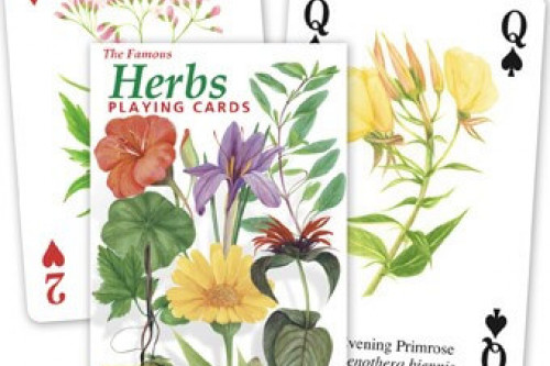 The Famous Herbs Playing Cards from the Steenbergs UK online shop for nature illustrated playing cards.