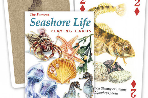 Heritage Playing cards - The Famous Seashore Life Playing Cards - from the Steenbergs UK online shop for nature illustrated playing cards and loose leaf teas.