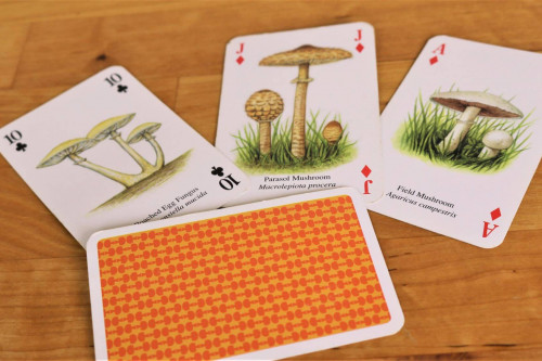 The Heritage Playing Cards Famous Mushrooms Illustrated Playing Cards from the Steenbergs UK online shop for illustrated nature playing cards.