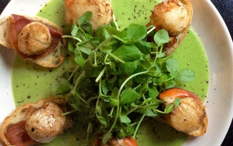 Recipe for Scallops pan fried with Parma toasts, wild garlic and pea veloute