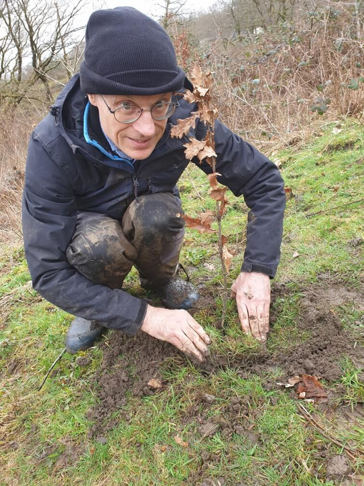 Axel Planting Sessile Oak