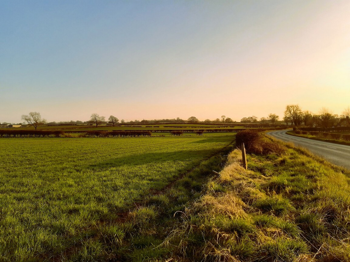 View Across Fields From Chapel Hill To Gibbet Hill, Boroughbridge View Across Fields From Chapel Hill To Gibbet Hill, Boroughbridge