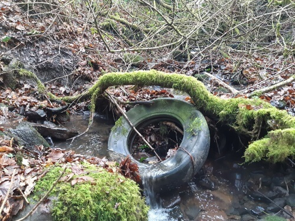 Old Tyre Left In Northern Stream