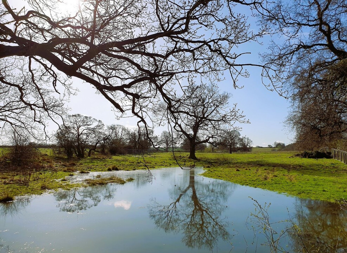 The Lovely The Lovely