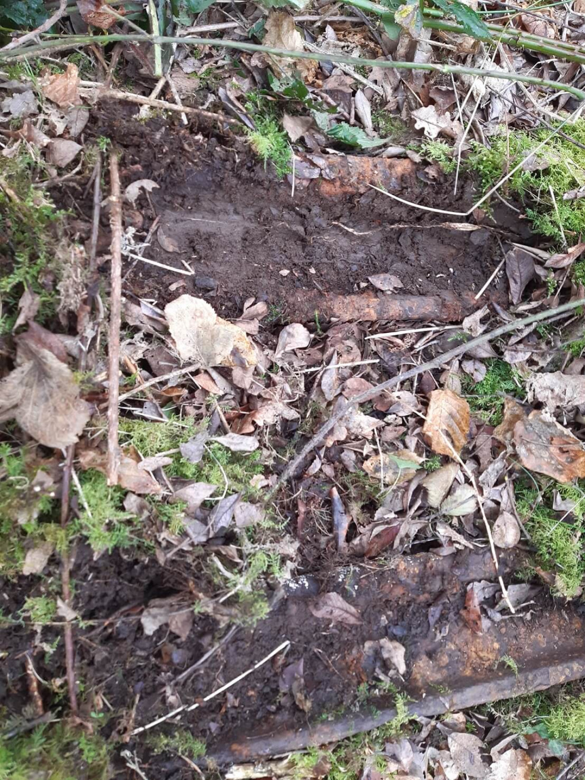 Coed Olaf - Old Tramway Tracks Hidden Beneath Plants Coed Olaf - Old Tramway Tracks Hidden Beneath Plants