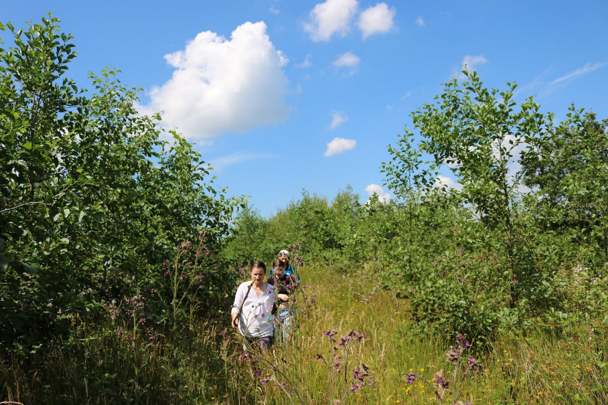 Steenberg family walking through overgrown paths between young alder trees Steenberg family walking through overgrown paths between young alder trees