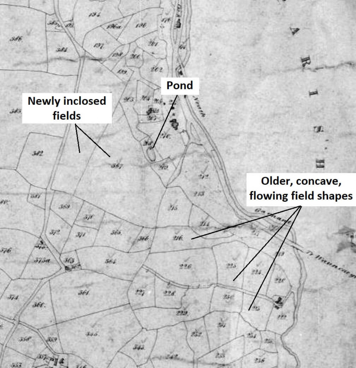1849 Tithes Map, Amended For Field Shapes