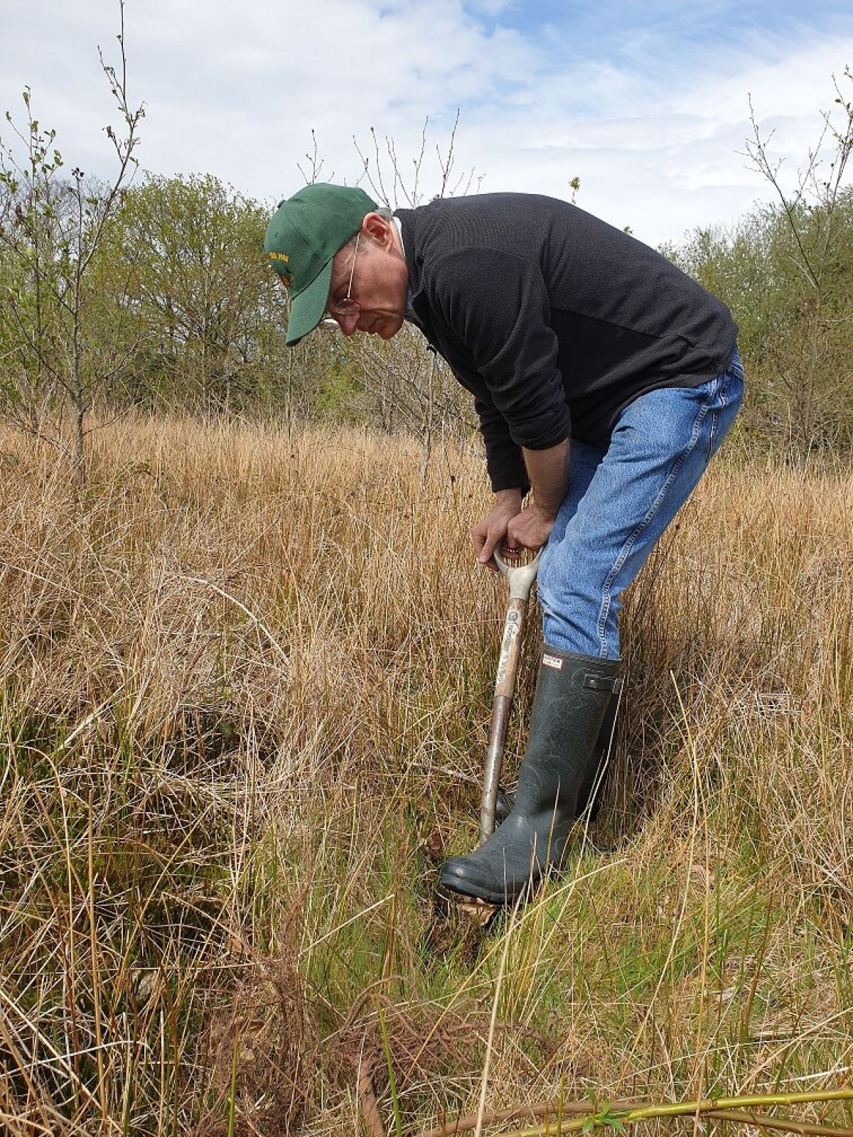Axel Steenberg Digging To Plant Willow Axel Steenberg Digging To Plant Willow