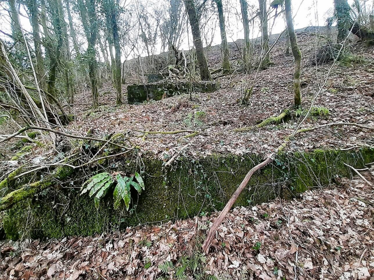 Coed Olaf - Concrete Base For Tramway Still Visible In Railway Cut