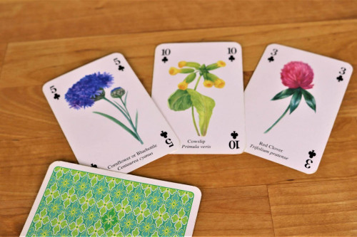 Heritage Playing Cards - The Famous Wild Flower Playing Cards, illustrated, from the Steenbergs UK online shop for nature illustrated playing cards.