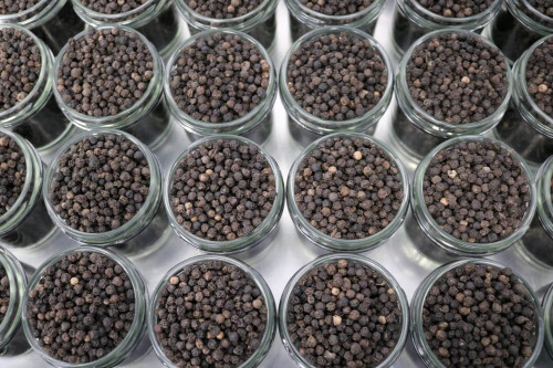 Steenbergs organic black pepper being packed in the Steenbergs UK spice factory in North Yorkshire.
