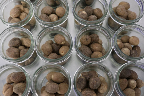 Organic Nutmegs being packed in the Steenbergs organic spice factory in North Yorkshire, UK.