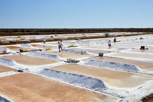 Steenbergs sea salt being harvested in the salt pans in the Algarve., Portugal.