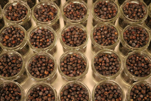 Steenbergs Organic Juniper Berries from Steenbergs the UK's sustainable spice company.