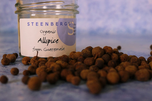 Buy Steenbergs Organic Allspice Berries (dried) from the Steenbergs the UK's sustainable spice company.