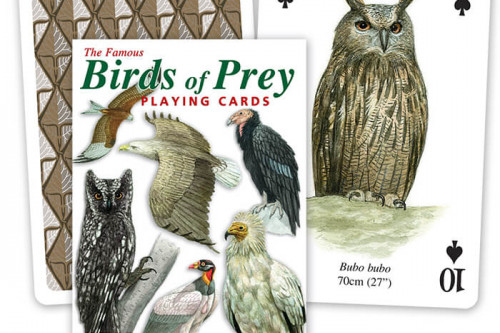 The Famous Birds of Prey Playing Cards from the Steenbergs UK online shop for nature illustrated playing cards.