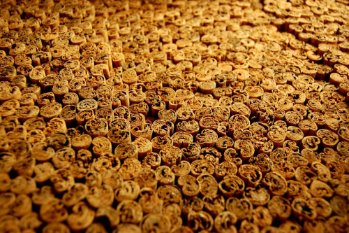 Organic cinnamon quills waiting to be packed at the Steenbergs UK spice factory