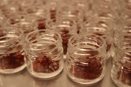 Steenbergs Saffron being packed at the Steenbergs spice factory in North Yorkshire, UK.