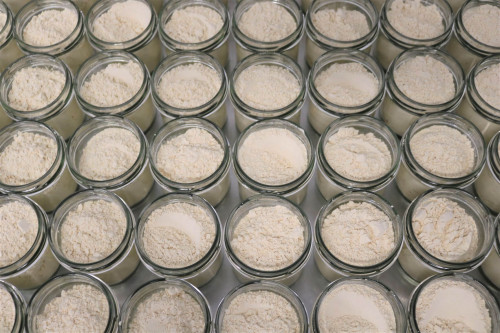 Steenbergs Organic Garlic Powder being packed in the Steenbergs UK organic spice factory in North Yorkshire.