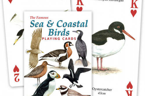 Heritage Cards The Famous Sea and Coastal Birds Playing Cards from the Steenbergs UK online shop for nature illustrated playing cards.