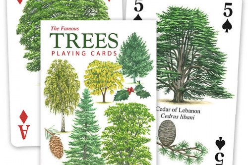 The Famous Trees Playing Cards from the Steenbergs UK online shop for nature illustrated playing cards.
