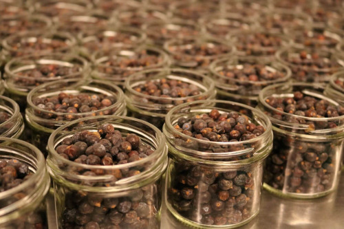 Steenbergs Organic Juniper Berries sourced and packed at the Steenbergs spice factory in North Yorkshire, UK.