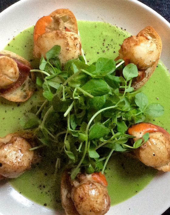 Scallops pan fried with parma toasts, wild garlic and pea veloute'