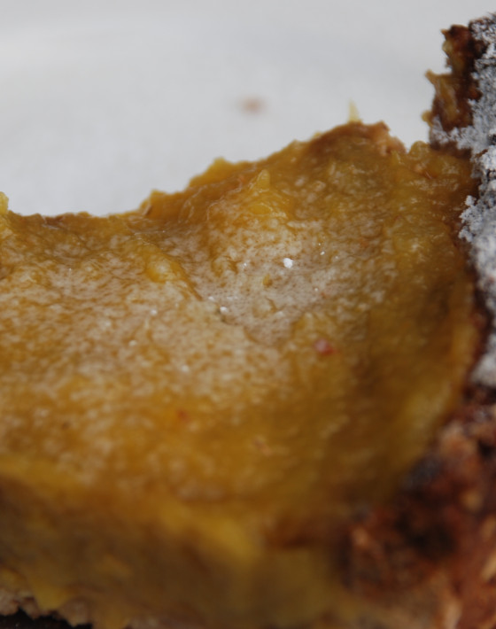 Pumpkin Pie with Pecan Oat Crust